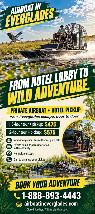 Airboat In Everglades flyer: From hotel lobby to wild adventure: private airboat plus round-trip Dade County pickup