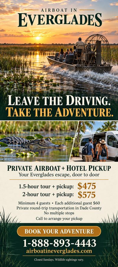 Airboat In Everglades flyer: Leave the driving: private airboat tour plus hotel pickup from $475