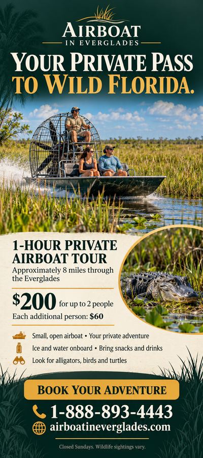Airboat In Everglades flyer: Your private pass to wild Florida: 1-hour private airboat tour, $200 for two