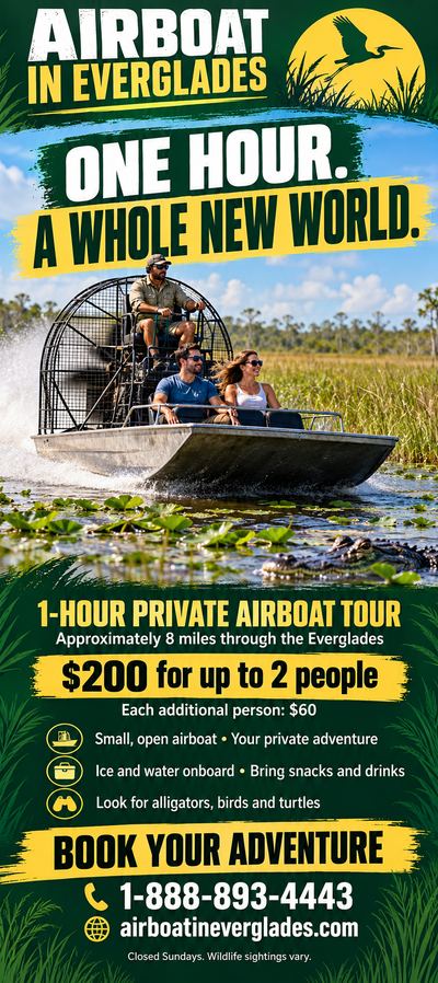 Airboat In Everglades flyer: 1-hour private airboat tour, about 8 miles, $200 for up to 2 people