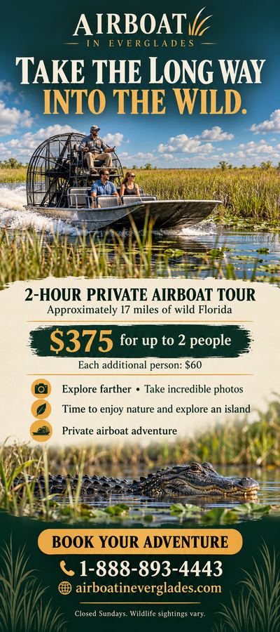 Airboat In Everglades flyer: Take the long way into the wild: 2-hour private airboat tour with island stop, $375 for two