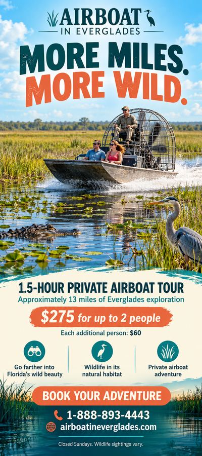 Airboat In Everglades flyer: More miles, more wild: 1.5-hour private airboat tour, $275 for two