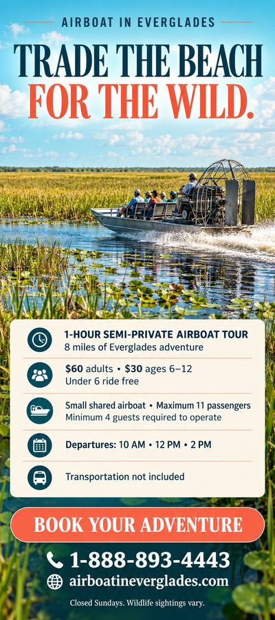 Airboat In Everglades flyer: Trade the beach for the wild: 1-hour semi-private airboat tour, max 11 passengers